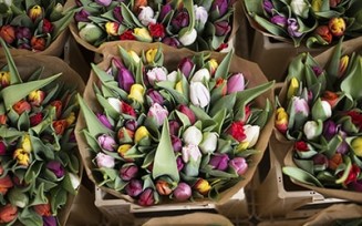 Audífonos con adaptaciones abiertas con formato RIC Audífonos con adaptaciones abiertas con formato RIC