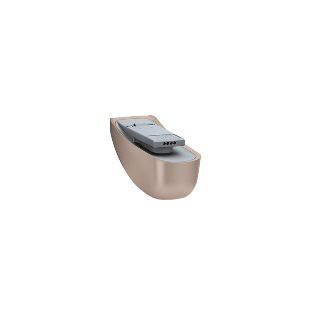 Receptor Roger 17 Receptor Roger 17
